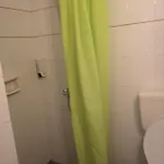 Gatos Pefkochori
