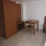 Gatos 3* Pefkochori